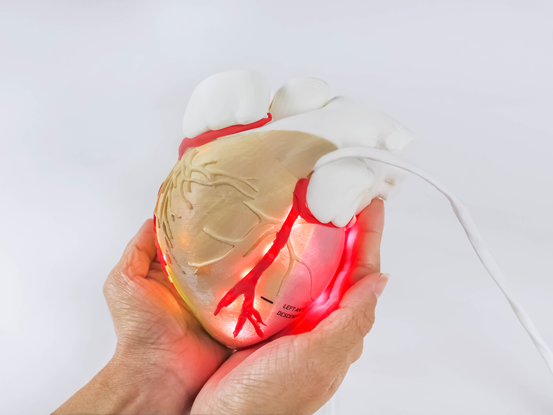 Electro ECG Learning Tool